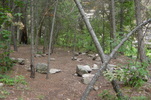 photo thumbnail #2