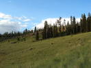 photo thumbnail #10
