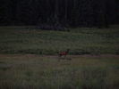 photo thumbnail #11