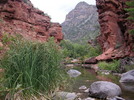 photo thumbnail #9
