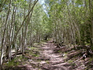 photo thumbnail #1