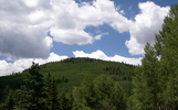 photo thumbnail #9