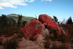photo thumbnail #14