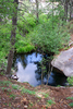 photo thumbnail #14