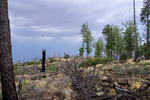 photo thumbnail #5