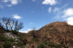 photo thumbnail #15