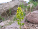 photo thumbnail #8