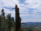 photo thumbnail #15