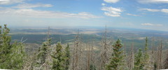 photo thumbnail #9