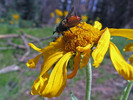 photo thumbnail #5