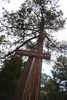 photo of comment