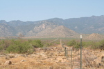 photo thumbnail #6