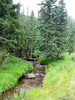 photo thumbnail #8