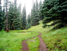photo thumbnail #13