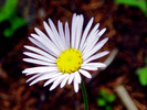 photo thumbnail #14