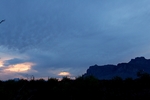photo thumbnail #2