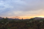 photo thumbnail #6