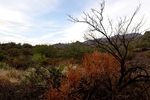 photo thumbnail #8