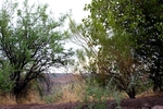 photo thumbnail #10