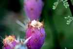 photo thumbnail #15