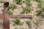 photo thumbnail #3