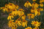Featured Detail Photo