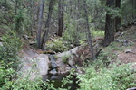 photo thumbnail #14