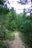 photo thumbnail #11