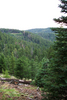 photo thumbnail #15