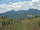 photo thumbnail #5