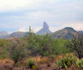 photo thumbnail #5