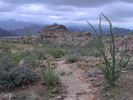 photo thumbnail #1