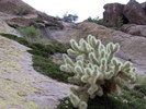 photo thumbnail #9