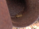photo thumbnail #8