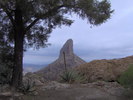 photo thumbnail #10