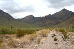 photo thumbnail #2
