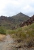 photo thumbnail #4
