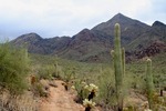 photo thumbnail #12