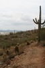 photo thumbnail #14