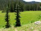 photo thumbnail #13
