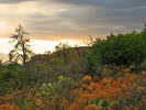 photo thumbnail #13