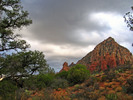 photo thumbnail #14