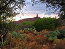 photo thumbnail #15