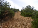 photo thumbnail #1