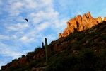 photo thumbnail #7