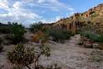 photo thumbnail #12