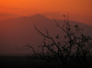 photo thumbnail #15