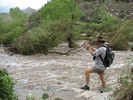 photo thumbnail #3
