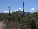 photo thumbnail #2