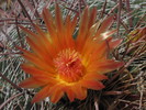 photo thumbnail #3